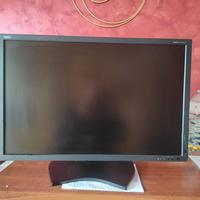 Monitor Nec modello MultySinc  PA301w