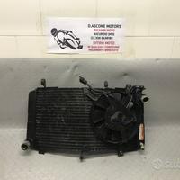 Radiatore Gsxr 600