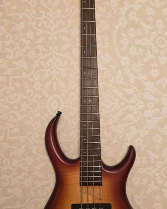 Basso  Sire Marcus Miller M7