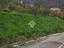 Immagine 19
