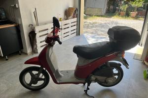 piaggio free 50cc interamente revisionato