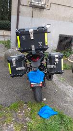 Moto voge 300 valico ds