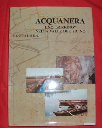 Boffalora Ticino Santuario Acquanera storia