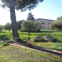 Azienda Agricola Assemini [A4344024]