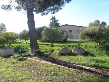 Azienda Agricola Assemini [A4344024]