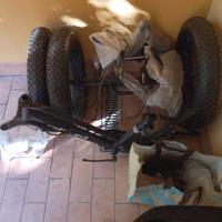 triciclo elettrico per anziani da uomo