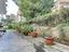 Immagine 23