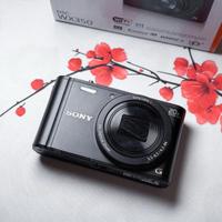 Sony cyber-shot DSC-WX350 20X zoom