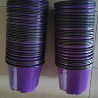 Vasetti in plastica - 70 pezzi + 4 omaggio