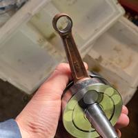 albero nuovo top tpr