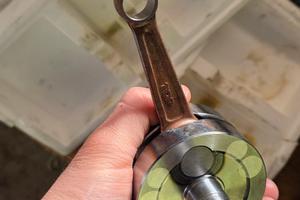 albero nuovo top tpr