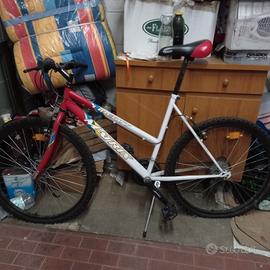 bicicletta Matrix liberty 