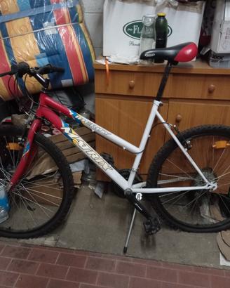 bicicletta Matrix liberty 