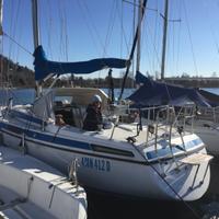 Barca a vela MAXI 108