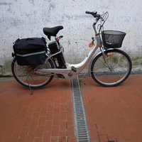 Bici elettrica cerchio 24