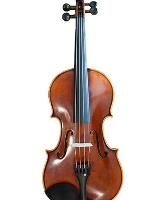 Violino Academy Acoustic Strings 4/4