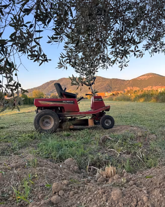 Murray 10hp/30 rasaerba