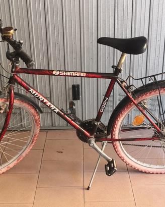 bicicletta Mountain bike 