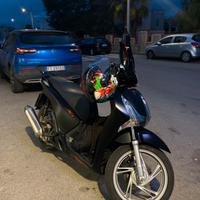 Sh 125 sport