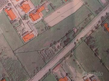 Terreno agricolo di 5.400 mq - Via Cellaro Sora