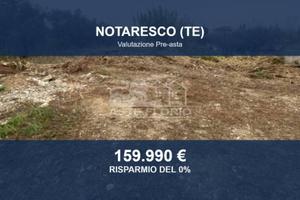 Immobile in asta di 6961 m² a Notaresco
