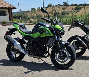 Kawasaki z500 2026 Verde