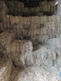 Fieno, medica e paglia