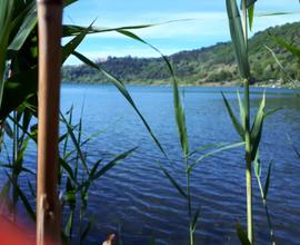 Terreno con accesso al lago