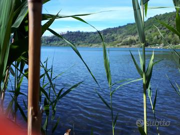 Terreno con accesso al lago