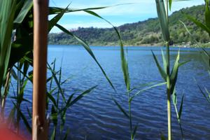 Terreno con accesso al lago