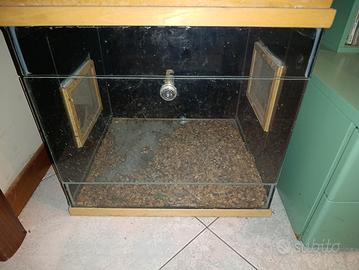 Terrario per rettili