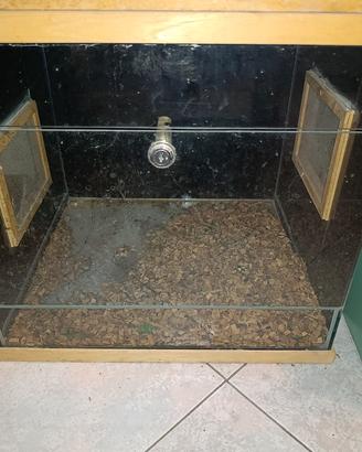 Terrario per rettili