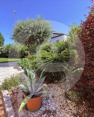 Appartamento Quadrilocale con Giardino Privato a S