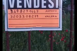 Terreno + casa