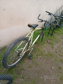 BICICLETTE DA UOMO