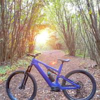 Ebike Canyon Spectral ON  Taglia XL