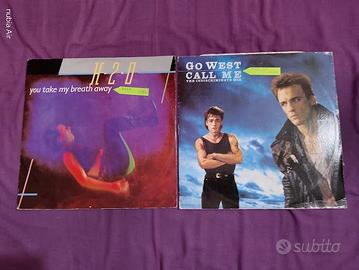 2 Dischi in vinile genere Rock