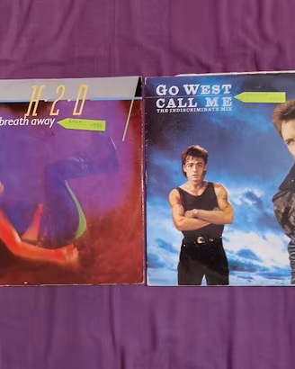 2 Dischi in vinile genere Rock