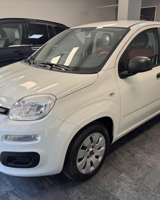 Fiat Panda 1.2 Benz 69 Cv Lounge 45.000KM