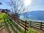 Immagine 18