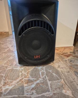 cassa woofer 