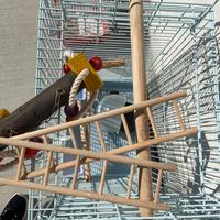 2 gabbie per uccelli