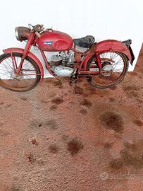 Altro Altro modello - 1954Ceccato 100