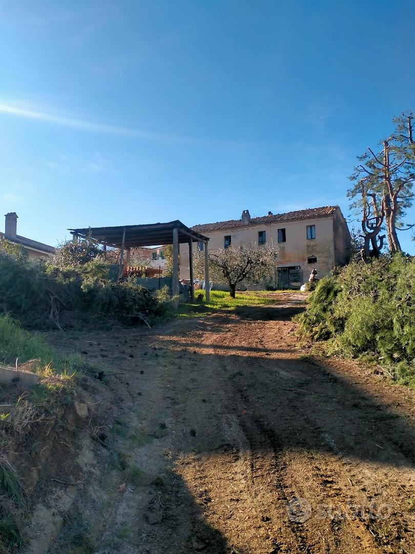 Casolare e terreno con Potenziale edificatorio - Vista 4
