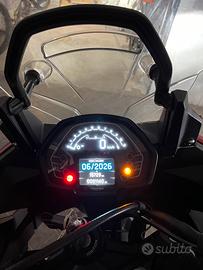 Triumph Tiger sport 660 mod y.24