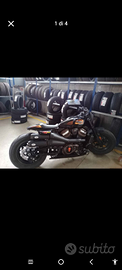 Harley sposter 1250 Sb