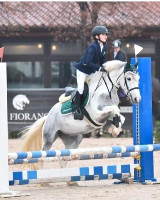 Pony salto ostacoli e gimkane