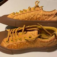 Dior x Stone Island (GOLD)