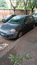 punto fiat 2013