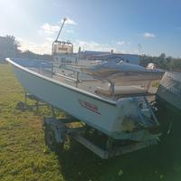 Boston whaler 17